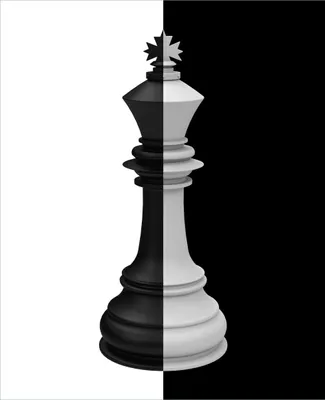 Produktbild von Wallario Magnet für Kühlschrank / Geschirrspüler, magnetisch haftende Folie - 60 x 80 cm, Motiv: Schachfigur schwarz-weiß