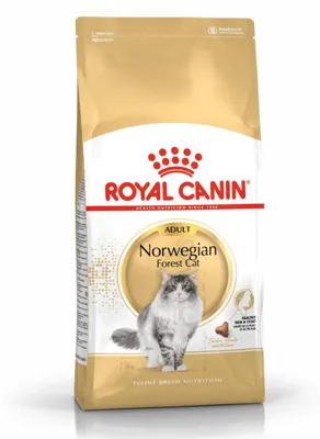 Zdjęcie produktu dla Royal Canin Norwegian Forest Cat Adult, Dorosły, Norweski leśny, Drób, 2 kg, Zawiera przeciwutleniacze