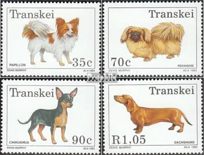 Produktbild von Briefmarken Südafrika - Transkei 1993 Mi 299-302 (kompl.Ausg.) postfrisch Hunde