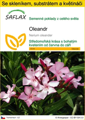 Obrázek produktu pro SAFLAX Kultivační sada - oleandr - Nerium oleander - 50 Semena - S mini skleníkem, pěstebním substrátem a 2 květináči
