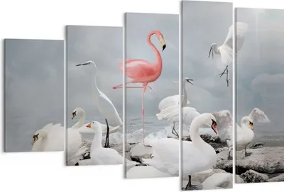 Produktbild von Bild auf Leinwand - Leinwandbild - 5 Teile - Flamingo Schwan Fantasie - 150x100cm - Wand Bild - Wanddeko - Wandbilder - Leinwanddruck - Bilder - Wanddekoration - Leinwand bilder - EG150x100-4929