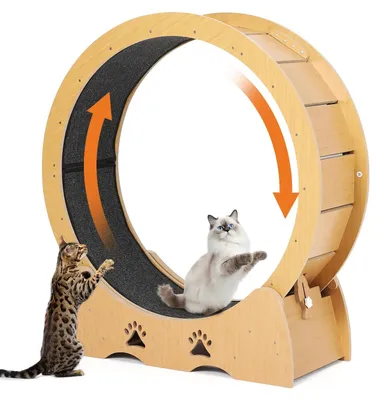 Image de Roue d'exercice pour chats - Roue extra-large - 86 cm - Très silencieuse - Bois - Fixation au sol - Fermeture de sécurité - Couleur kaki foncé