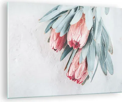 Produktbild von Bilder auf glas - Einteilig - Blume Eukalyptus Australier - 70x50cm - Glasbilder - Wandbilder - Bilder - Wanddekoration aus Glas - Glas Bilder - Wandbild auf Glas - GAA70x50-5016