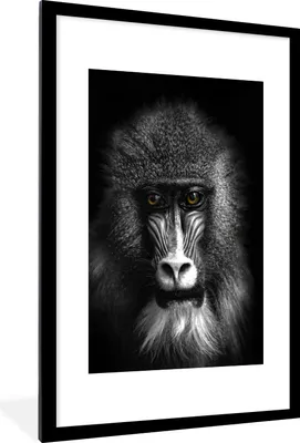 Produktbild von MuchoWow® Gerahmtes Poster Affe - Tiere - Augen - Braun - Schwarz und weiß 60x90 cm - Poster mit Schwarzem Bilderrahmen Wandposter Rahmen Foto Bilder - Dekoration - Wandposter Wohnzimmer - Hochwertig