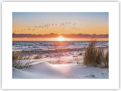 Produktbild von Poster - Poster ohne Rahmen - Sonne Strand Vögel - 40x30 cm - Wand Bild - Wanddeko - Wandbilder - Kunstposter - Wandposter - Bilder - Kunstdruck - Wanddekoration - Wandbild - P2XAA40x30-4727