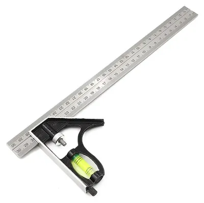 Productafbeelding van Solidchoice - RVS Combinatietransporteur van 300 mm met Liniaal