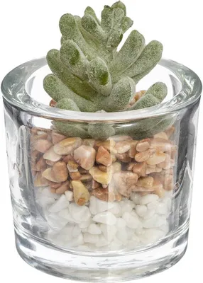 Produktbild von Künstliche pflanze h10cm  - Atmosphera créateur d'intérieur