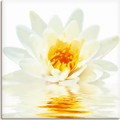 Produktbild von ARTland Leinwandbild Lotusblume schwimmt im Wasser Größe: 50x50 cm