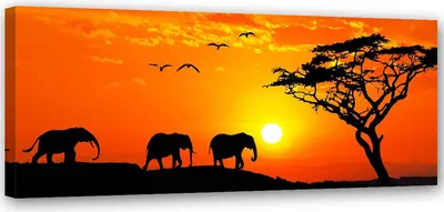 Produktbild von Leinwandbild afrikanisches savannen-panorama 150x50 cm Feeby orange wandbild bereit zum aufhängen
