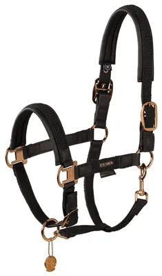 Produktbild von Eskadron Platinum Halfter " DOUBLE PIN PLAIT " Stallhalfter Farbe - black Größe - Pony2