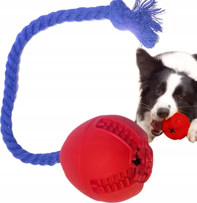 Produktbild von PETSTORY Hundespielzeug Ei mit Seil für Leckerlis