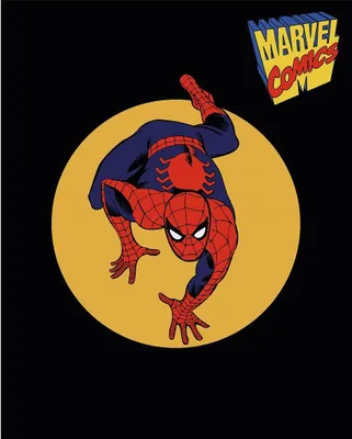 Image de Marvel Comics - Impression sur toile "Spotlight-Oscar Spider Men" PM11734 (50 cm x 40 cm) (Noir)