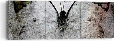Produktbild von Bild auf Leinwand - Leinwandbild - Schmetterling Abstraktion - 90x30cm - Wand Bild - Wanddeko - Leinwanddruck - Bilder - Kunstdruck - Wanddekoration - Leinwand bilder - Wandkunst - CA90x30-3679