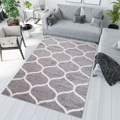 Produktbild von Teppich Wohnzimmer Schlafzimmer Kurzflor Modern Design Grau Weiß Meliert  120 x 170 cm
