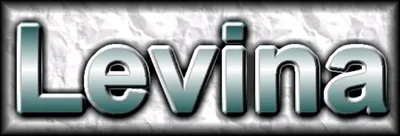 The image displays the word "Levina" in a stylized, metallic font against a textured background.