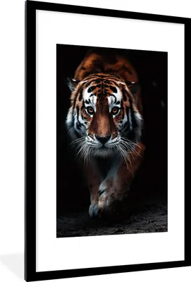 Produktbild von MuchoWow® Gerahmtes Poster Tiere - Tiger - Schwarz - Wild - Porträt 60x90 cm - Poster mit Schwarzem Bilderrahmen Wandposter Rahmen Foto Bilder - Dekoration - Wandposter Wohnzimmer - Hochwertig