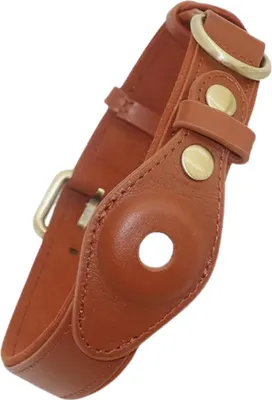 Flamingo Halsband Ziggi Für Kleine Hunde – Dunkelgrün XXS 15-25cm | Stufenlos Verstellbar