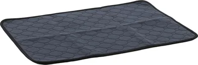 Produktbild von Flamingo Trainingsmatte Patsy grau, Maße: 54 x 38 x 0,3 cm