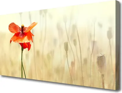 Produktbild von Tulup Leinwand-Bilder 100x50 Wandbild Canvas Kunstdruck Mohnblume Pflanzen