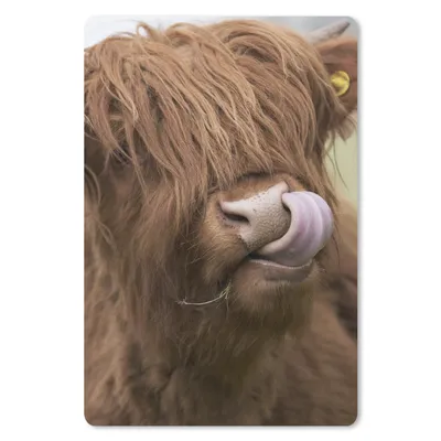 Produktbild von MuchoWow® Mauspad Mousepad Schottischer Highlander - Braun - Kuh 18x27 cm - Mousepads - Maus Mat - Pad - Mausunterlage