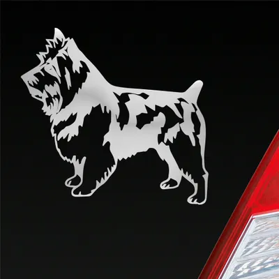 Produktbild von Auto Aufkleber Terrier Tier Hund Dog Animal 11x10 cm Silber Sticker Heckscheibenaufkleber