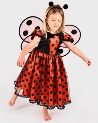 Produktbild von Den Goda Fen Marienkäfer-Kostüm Kleid mit Flügeln und Haarreif 110-116cm