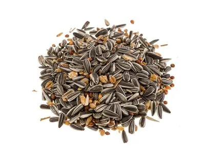 Produktbild von Classic Bird Winterstreufutter 2,5 kg - 4 Stück
