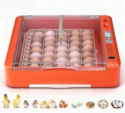 Produktbild von Eierbrutmaschine - Automatisch - 36-Eier-Kapazität - Eierdrehregelung - Temperatur- und Feuchtigkeitsregelung - Für Hühner, Enten, Gänse und Truthähne