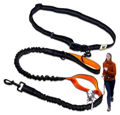 Produktbild von Hundeleine Freisprech-Hundeleine Bauchgurt - Elastisch mit Stoßdämpfer - 120 bis 170 cm - Für Hunde von 15 bis 70 kg