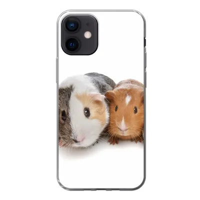 Produktbild von MuchoWow® Handyhülle Schutzhülle Hülle für iPhone 12 Fünf Meerschweinchen Silikon Softcase Handy Hülle - Schutzhülle