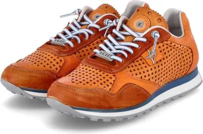 Produktbild von Cetti Sneaker Low Herren 31373530373234 Orange 40 EU