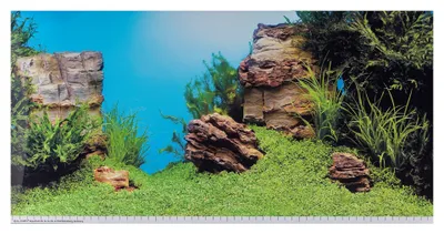 Produktbild von JUWEL Aquarium - Rückwandposter 1, L, 100 x 50 cm