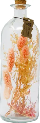 Produktbild von Trockenblumen in Flasche mit Korkverschluss Apricot 27 x Ø 9 cm