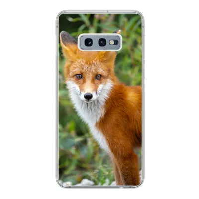 Produktbild von MuchoWow® Handyhülle Schutzhülle Hülle für Samsung Galaxy S10e Fuchs - Orange - Wald Silikon Softcase Handy Hülle - Handy