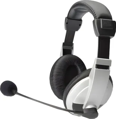 Zdjęcie produktu dla DIGITUS Multimedialny zestaw słuchawkowy stereo, z mikrofonem, wzmacniaczem, gniazdem jack