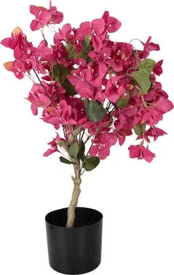 Immagine prodotto di Clayre & Eef Albero di bouganville artificiale 30x30x90 cm Plastica rosa