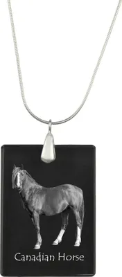 Zdjęcie produktu dla Kanadyjski koń - Wiszący amulet z motywem konia, srebrny naszyjnik z możliwością umieszczenia zdjęcia, personalizowany amulet marki Art-Dog