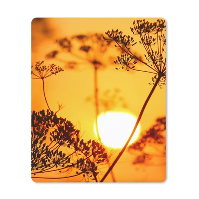 Produktbild von MuchoWow® Mauspad Mousepad Pflanzen - Blumen - Sonnenuntergang - Orange 19x23 cm - Mousepads - Maus Mat - Pad - Mausunterlage - Mauspads - Spielen