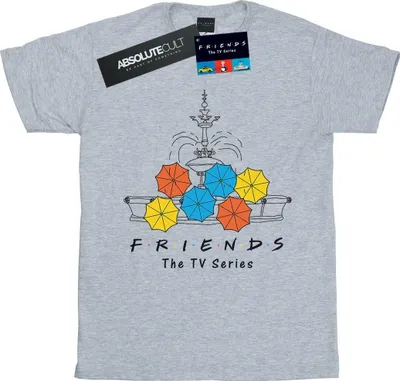 Produktbild von Friends - T-Shirt für Herren BI26047 (XXL) (Grau)