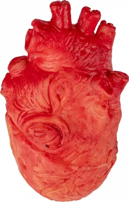 Produktbild von Blutiges Herz als Halloween Deko