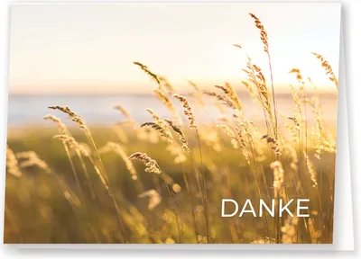 Produktbild von Friendly Fox 12 Dankeskarten Landschaft, A6 Dankeschön Karten romantisch Kornfeld, Klappkarten mit Briefumschlag