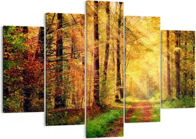 Produktbild von Bild auf Leinwand - Leinwandbild - Wald Baum Natur - 150x100cm - Wand Bild - Wanddeko - Wandbilder - Leinwanddruck - Bilder - Kunstdruck - Wanddekoration - Leinwand bilder - Wandkunst - EA150x100-3718