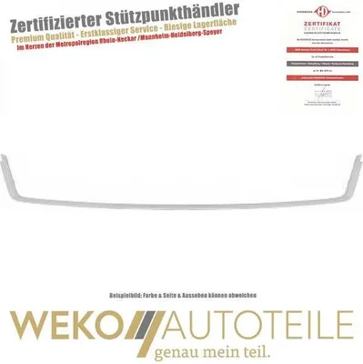 Produktbild von Blende  Kühlergitter unten DIEDERICHS 1806142 für OPEL