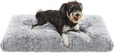 Produktbild von Famanu Hundematte für Sofa - Hundebett, Kissen, vielseitig einsetzbar
