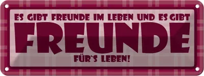 Produktbild von vianmo Blechschild 10x27 cm Es gibt Freunde im Leben Dekoration Spruch Zitat