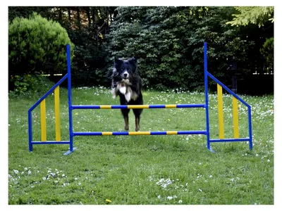 Produktbild von PROCYON Agility Hürde für Hunde - Profi-Trainingsset FCI-konform