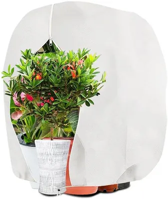 Obrázok produktu pre Zimný ochranný obal na rastliny, 120 x 180 cm, biely, priedušný, odolný proti pretrhnutiu.