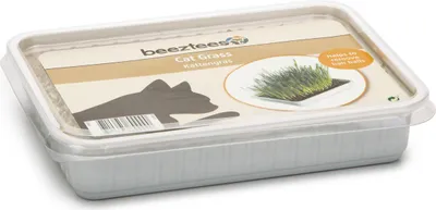 Obrázek produktu pro Kočičí tráva