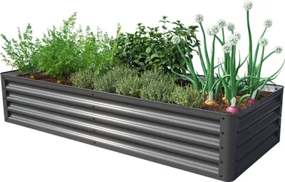 A raised garden bed filled with various plants, including herbs and onions, against a white background.