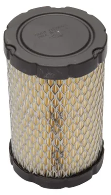 Image de Filtre à air Briggs & Stratton Intek 4145 796031 594201 590825 14.5-24HP